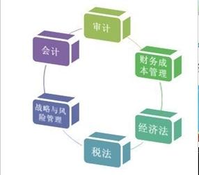 從會計新人到財務總監 520篇密碼，與你共同成長