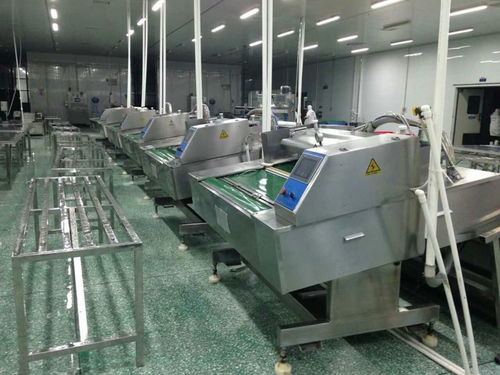 食品滾動包裝機與電腦圖文設(shè)計的完美融合 現(xiàn)代包裝工業(yè)的核心驅(qū)動力